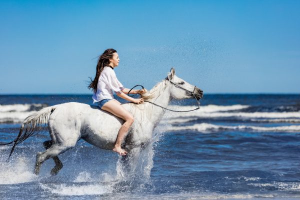 Young girl riding on the white horse through the ocean.